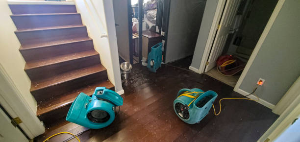 Best Flood restoration services  in Nokesville, VA