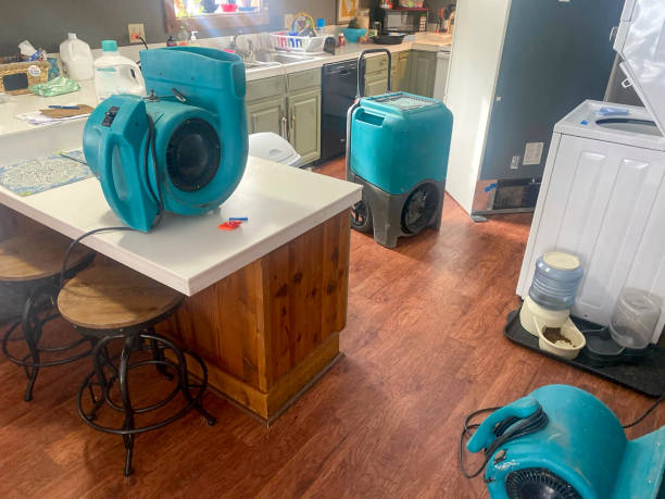 Trusted Nokesville, VA Water damage restoration Experts