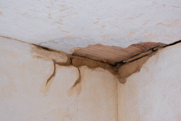 Best Emergency water damage restoration  in Nokesville, VA