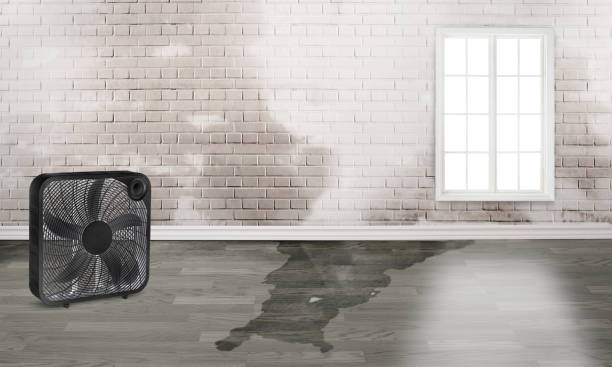 Best Commercial water damage restoration  in Nokesville, VA