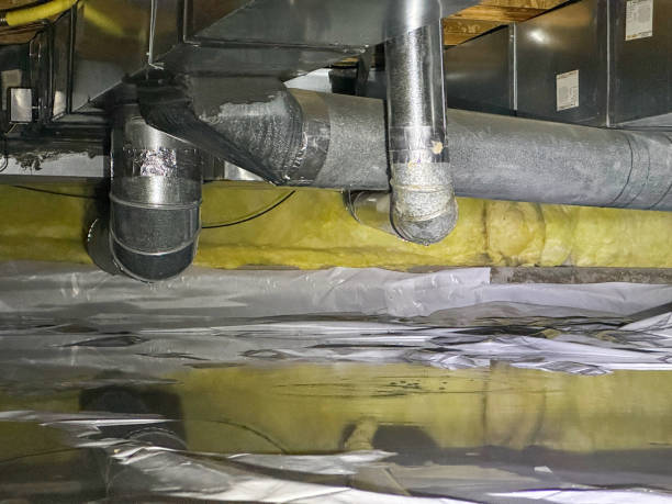 Best Water damage cleanup near me  in Nokesville, VA