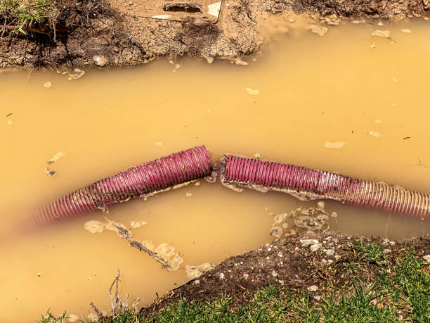 Best Water damage cleanup near me  in Nokesville, VA